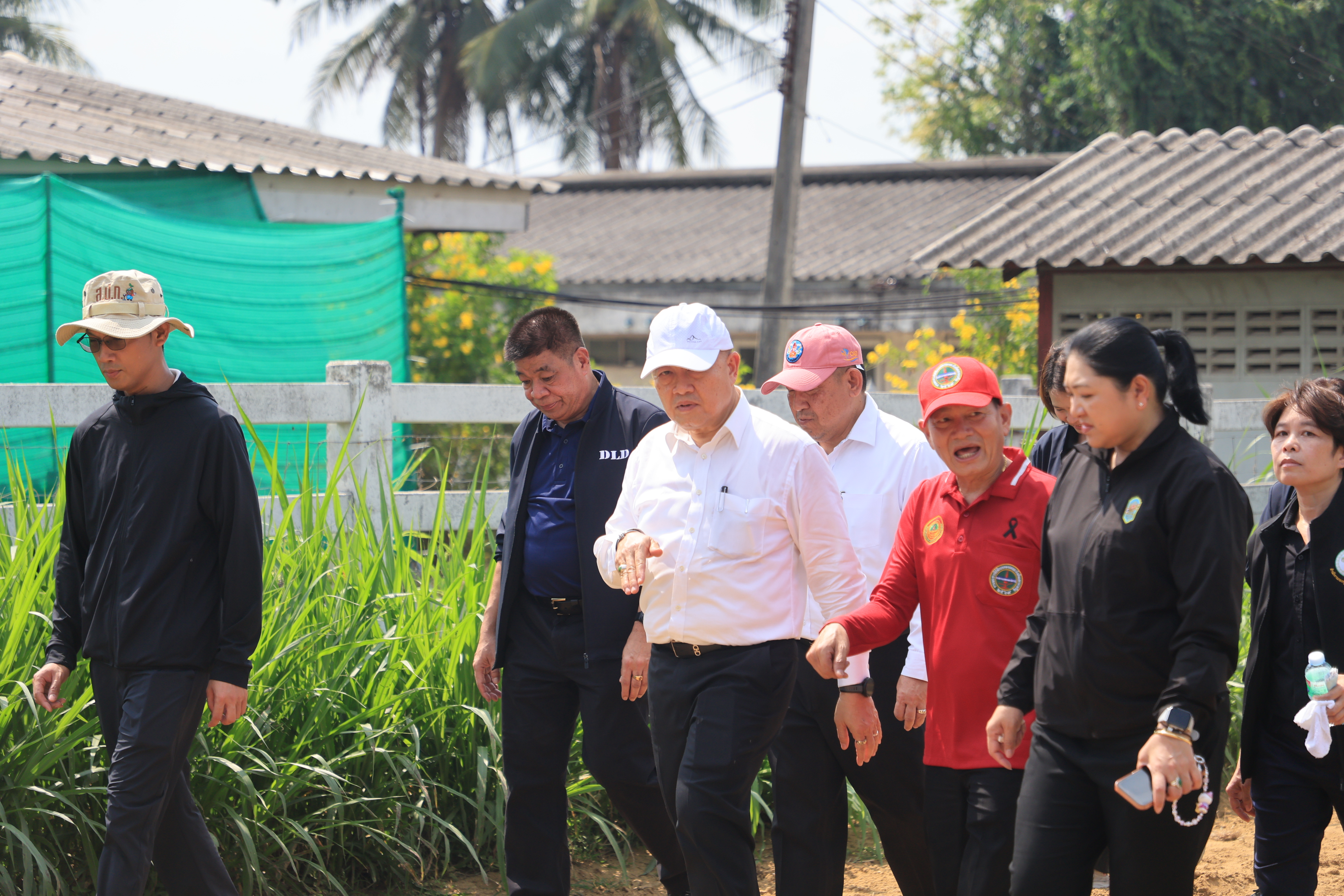 title - ส.ป.ก. เข้าร่วมการตรวจเยี่ยมการจัดเตรียมพระโค ในงานพระราชพิธีพืชมงคลจรดพระนังคัลแรกนาขวัญ ประจำปี 2569